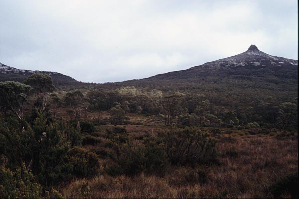 Pelion Gap und Mount Pelion East